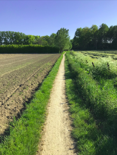 Betrokkenheid vanuit de gemeente is de sleutel tot succes.