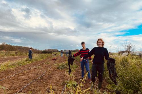 Twee vrouwen staan in een landbouw veld