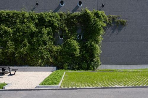 Een groene gevel aan een grijze muur