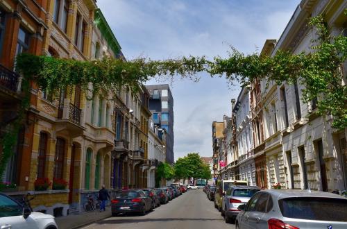 Een groenslinger in een straat met herenhuizen. 