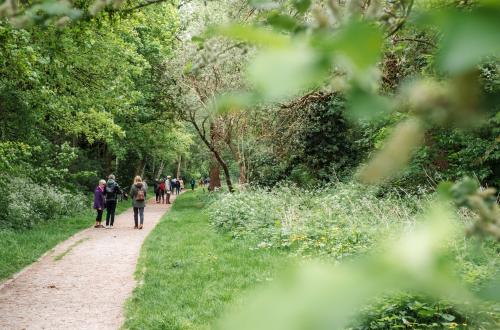Wandelen op een bosweg