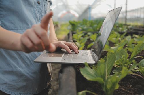 Een persoon staat met een laptop in de hand bij een plantenbak. 