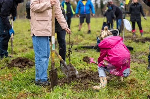 Een jonge vrouw en een kind planten een boom in een groen veld 