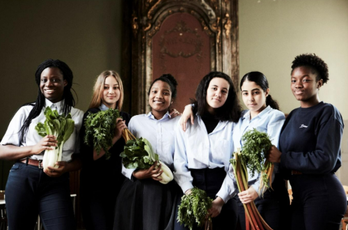 Een groep chefs houdt groenten vast