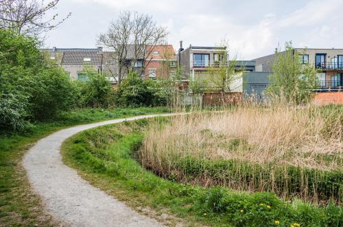Een trage weg tussen groen en gebouwen
