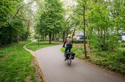 Fietsen op een bosweg