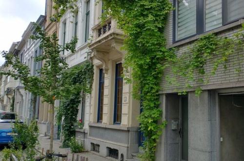 Huizen met groene gevels