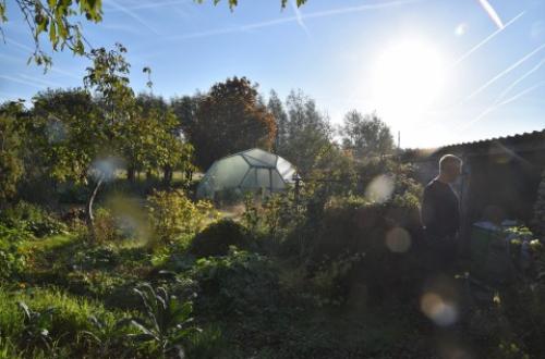 Een groene oase met bomen, struiken en een iglo serre.