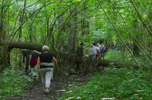 Wandelaars in het bos