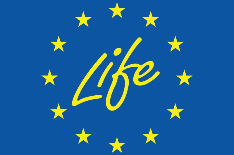 Het 'Life' logo staat tussen gele sterren en op een blauwe achtergrond.