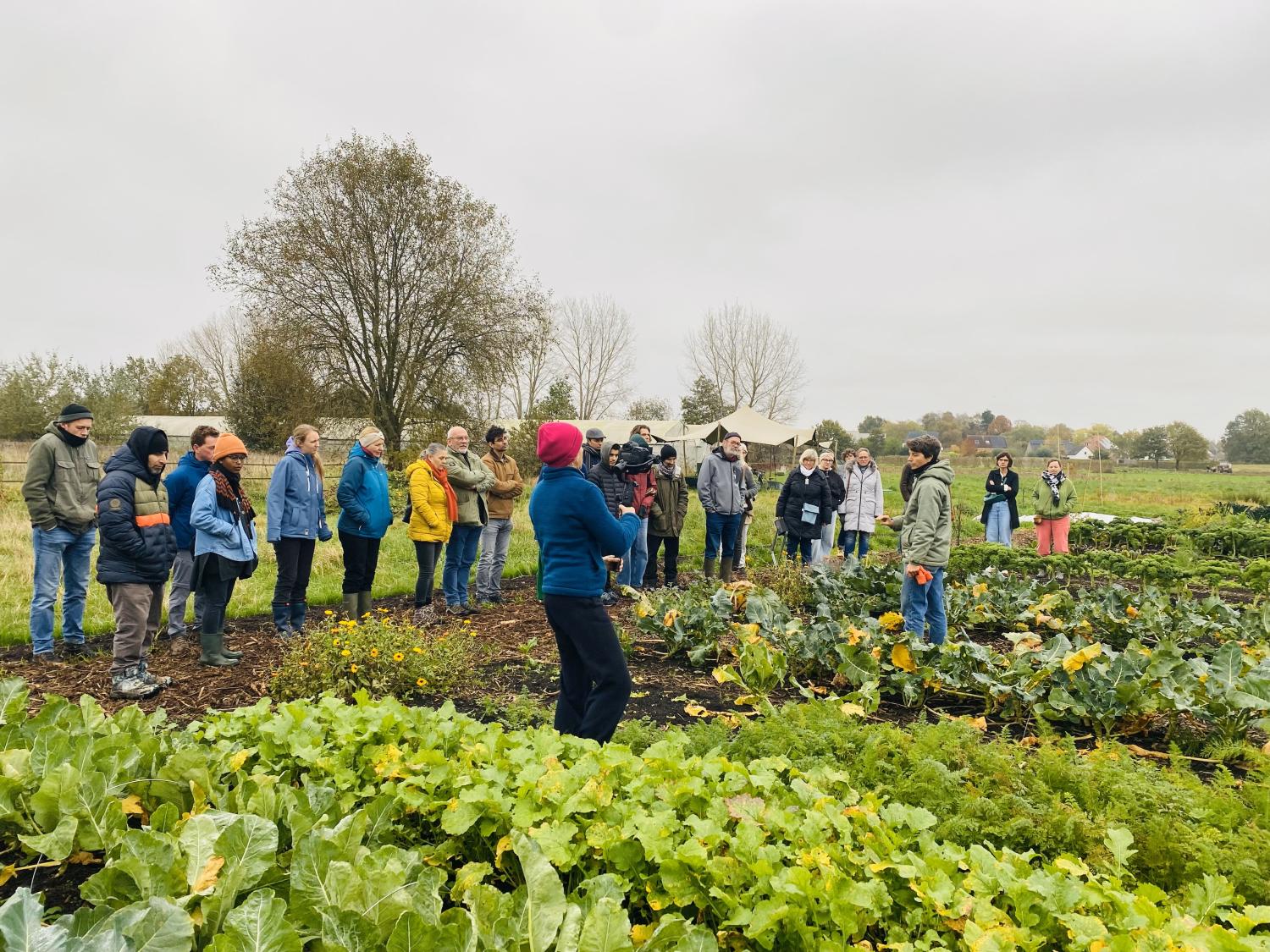 Een groep mensen krijgt uitleg op een agro-ecologische boerderij.