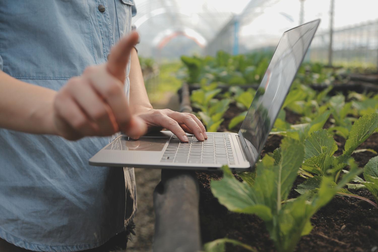 Een persoon staat met een laptop in de hand bij een plantenbak. 
