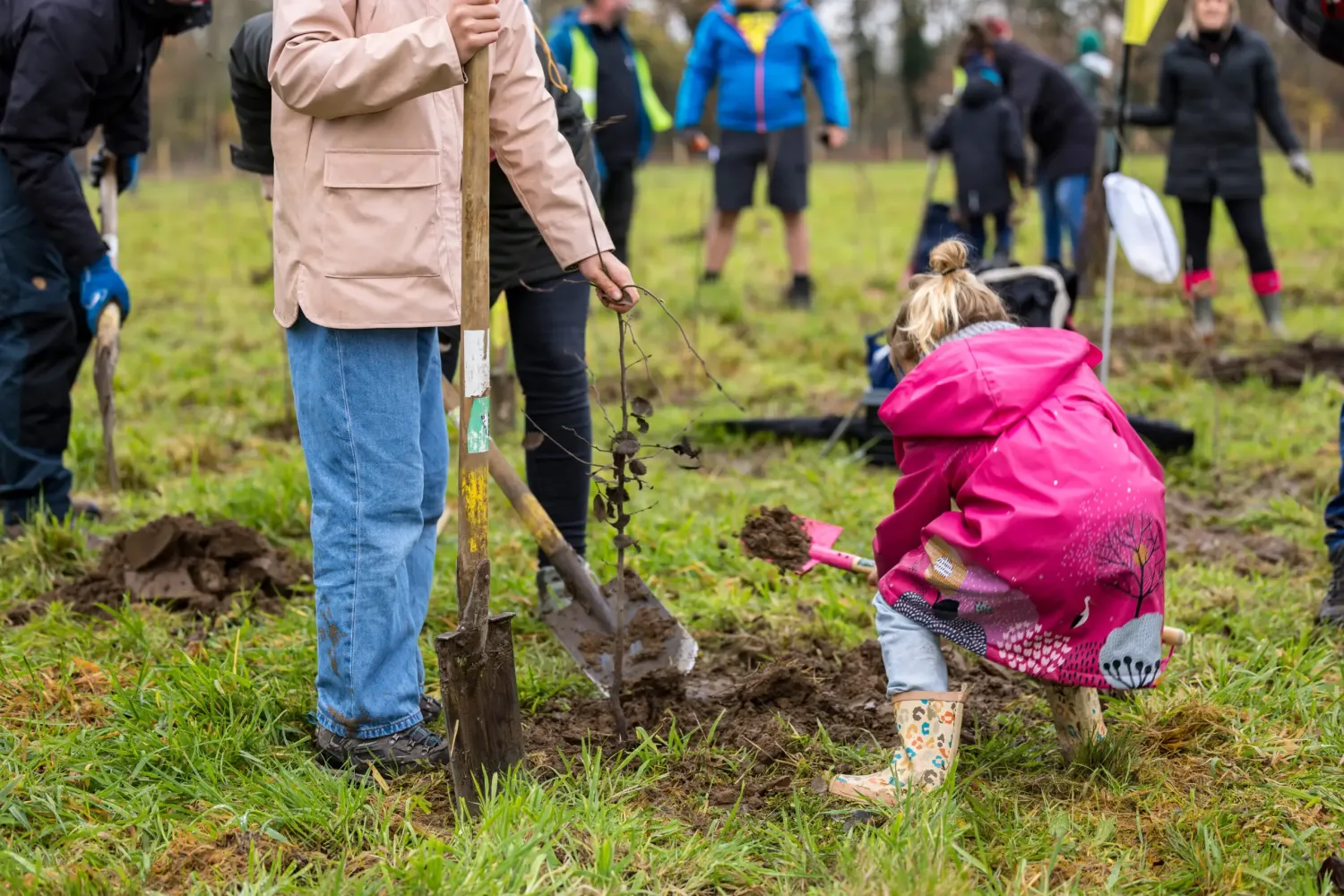 Een jonge vrouw en een kind planten een boom in een groen veld 